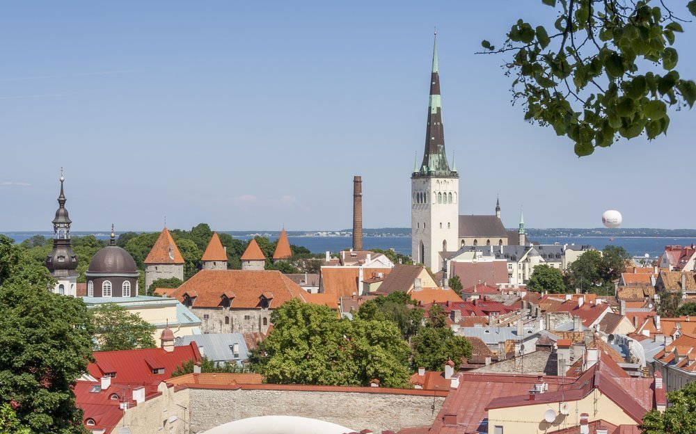 Estonia – a country where buyers can be in the black | Photo 1 | ee24