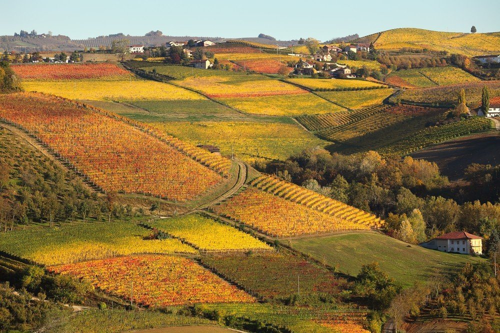 Vineyards in France and Italy: who buys them and for how much? | Photo 1 | ee24