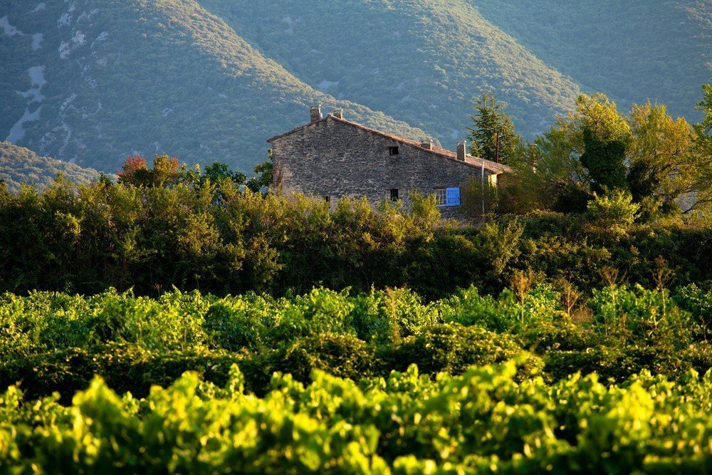 Vineyards in France and Italy: who buys them and for how much? | Photo 3 | ee24