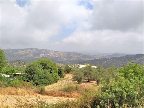 Land in Paphos Municipality