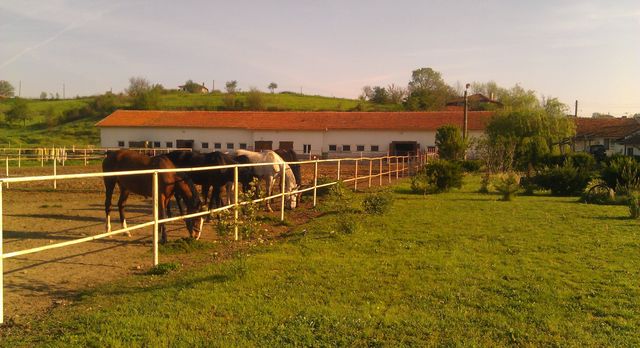 Farm in Aleksandrovo