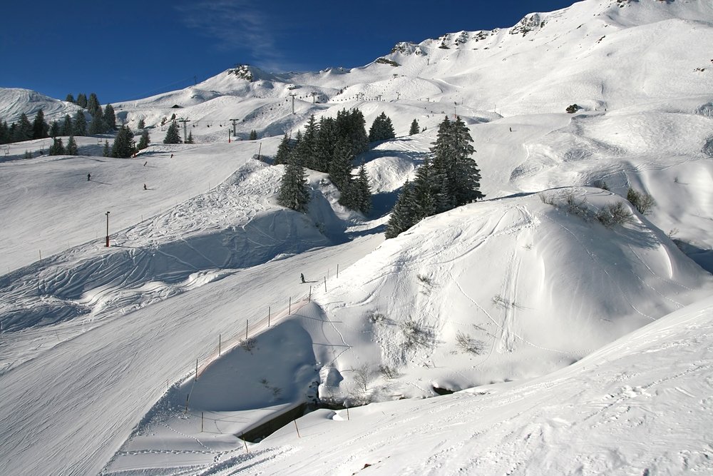 Property on ski resort of Portes du Soleil in Switzerland