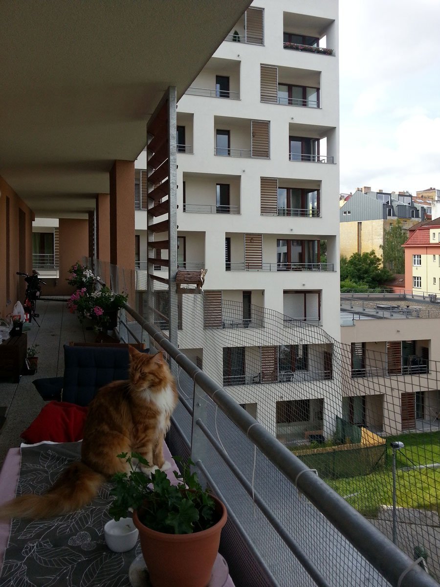 New apartment in Prague: quiet area, low ceilings and a beer on the balcony | Photo 1 | ee24