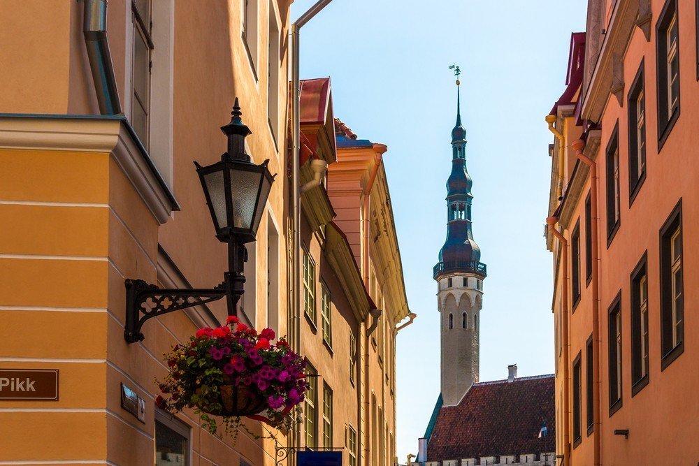 Record Estonia: whether it is decline or growth – they are always the biggest in Europe