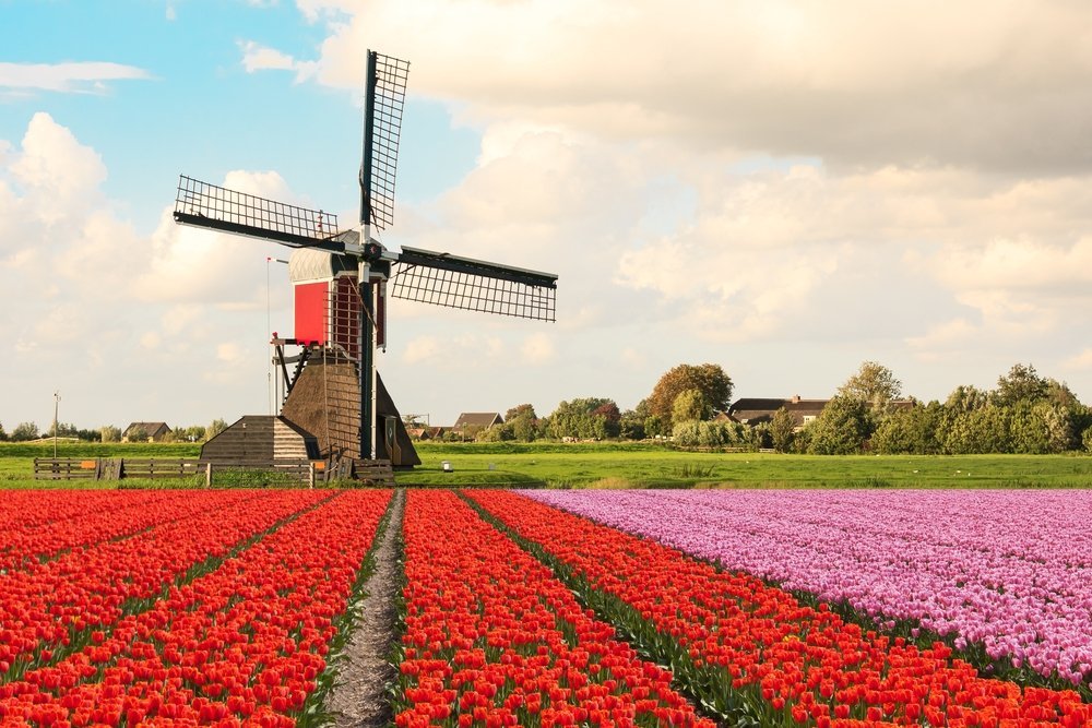 Dutch property rapidly increases in price