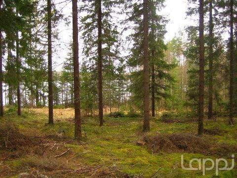 Land in Ruokolahti