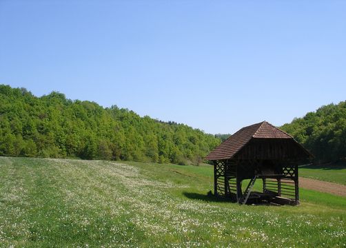 Farm in Velike Dole