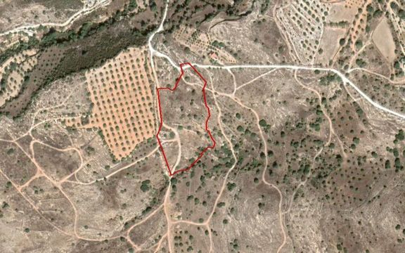 Land in Paphos Municipality