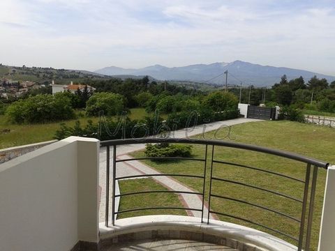 Apartment in Varnavas