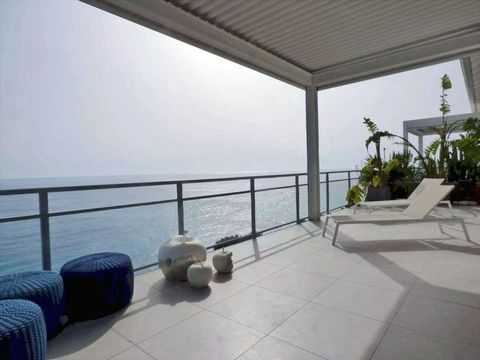 Penthouse in Cap Martin