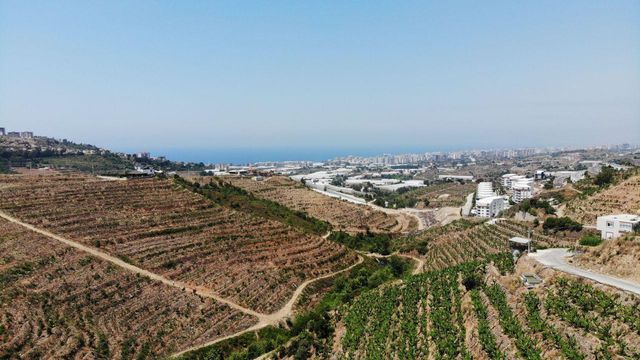 Land in Kargıcak