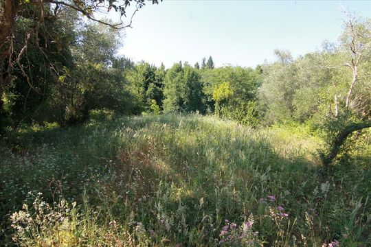 Land in Kerkyra