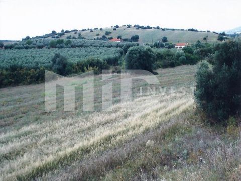 Land in Ormilia