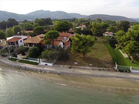 Land in Nea Makri