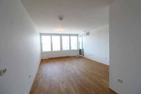 Apartment in Bežigrad