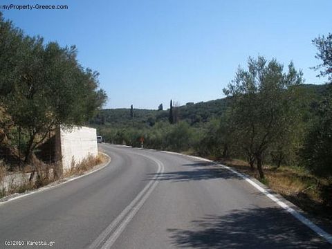 Land in Planos