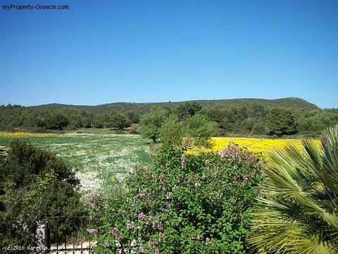 Land in Agios Leon