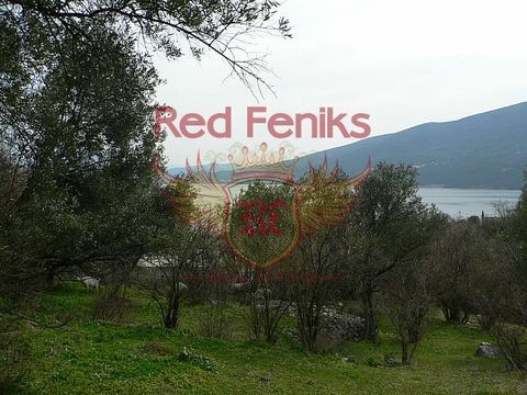 Land in Đenovići