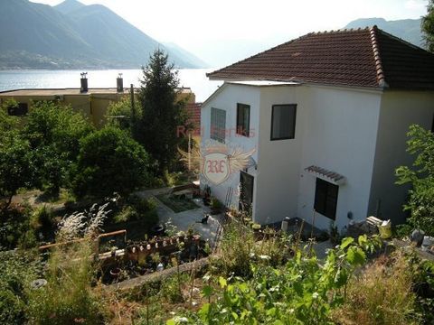 House in Dobrota