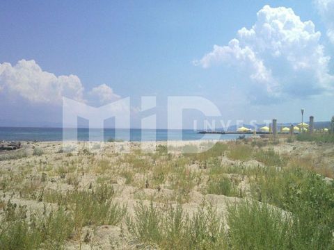 Land in Kallithéa (Kassandra)