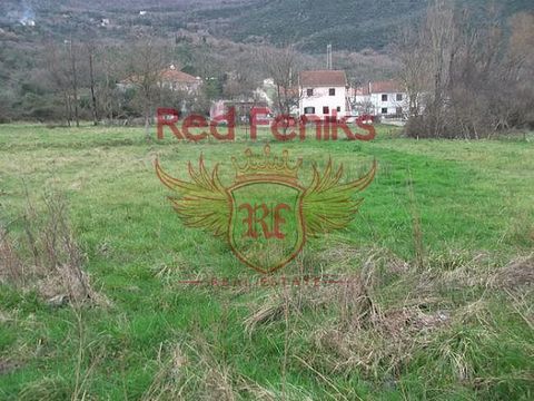 Land in Zelenika