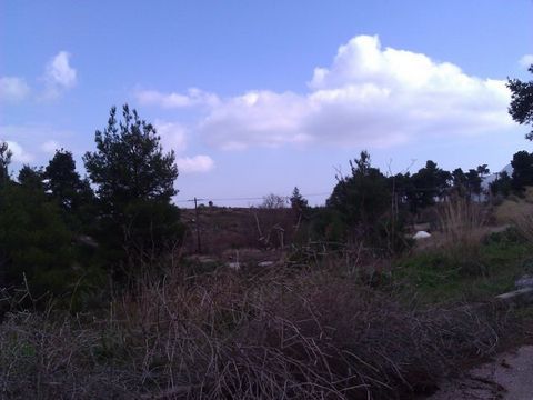 Land in Dionysos