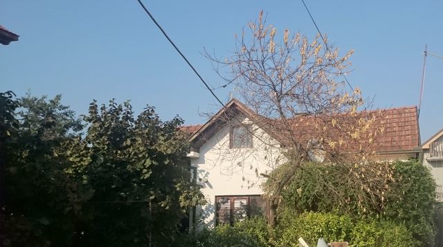 House in Inđija