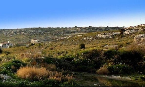 Land in Paphos Municipality