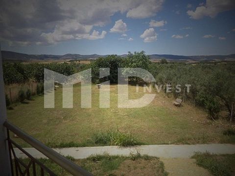 Detached house in Anthemountas