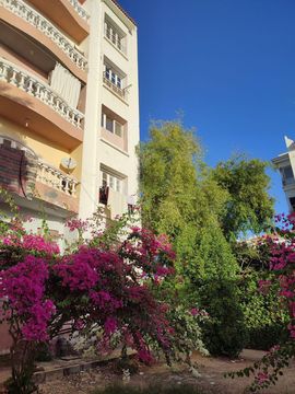 Apartment in Red Sea