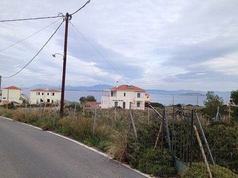 Land in Aegina