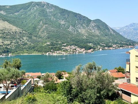 Land in Kotor