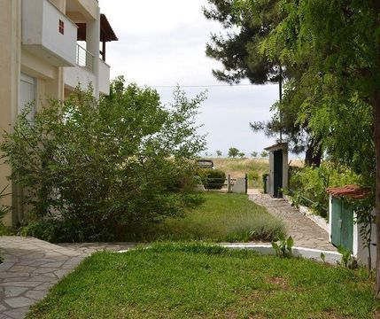 Commercial in Macedonia and Thrace