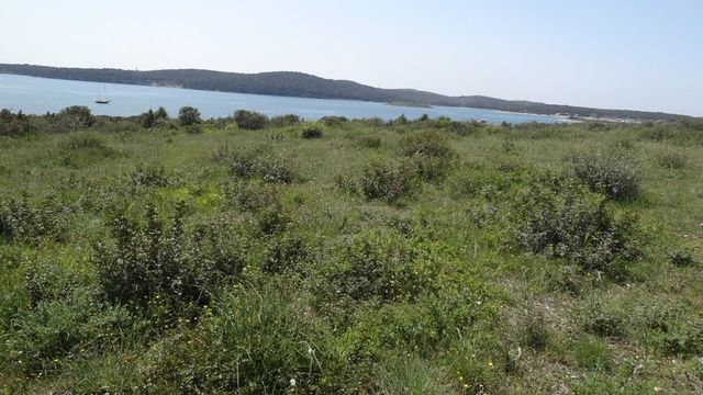 Land in Medulin