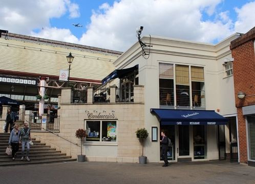 Different purpose in Windsor