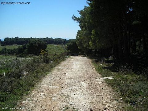 Land in Agalas