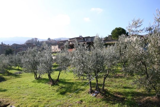 Villa in Florence