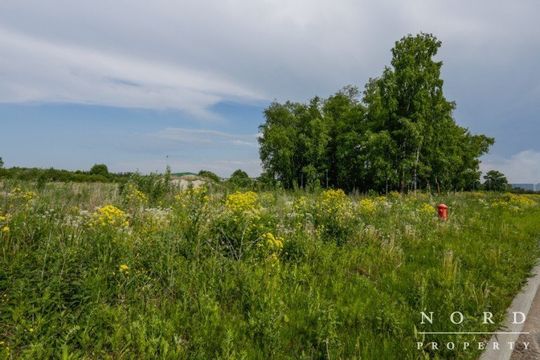 Land in Paldiski