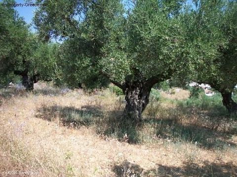 Land in Planos