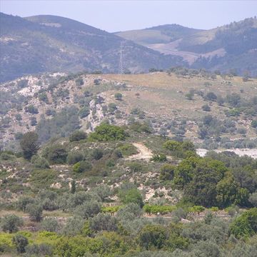 Land in Rodos