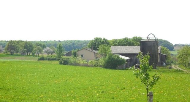 Detached house in Schrozberg