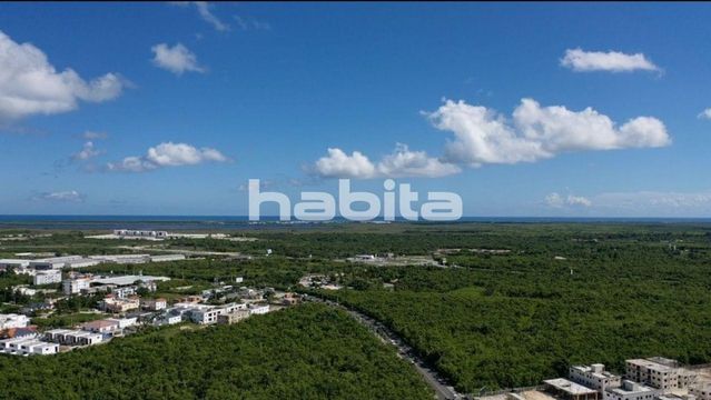 Land in Punta Cana