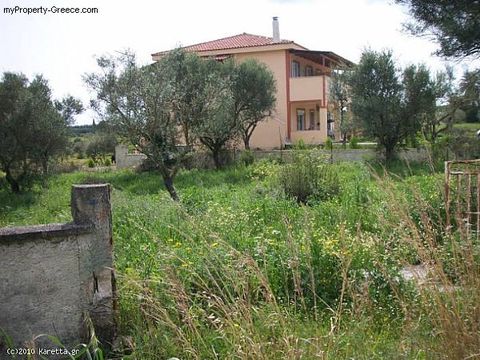 Land in Pantokratoras