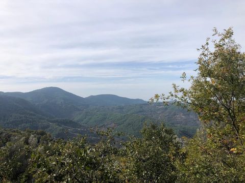 Land in Şekerhane Mahallesi