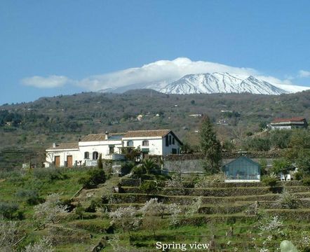 Villa in Piedimonte Etneo
