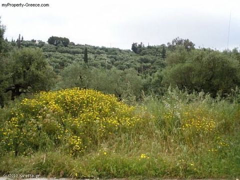 Land in Bochali