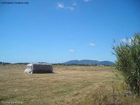 Land in Ampelokipoi