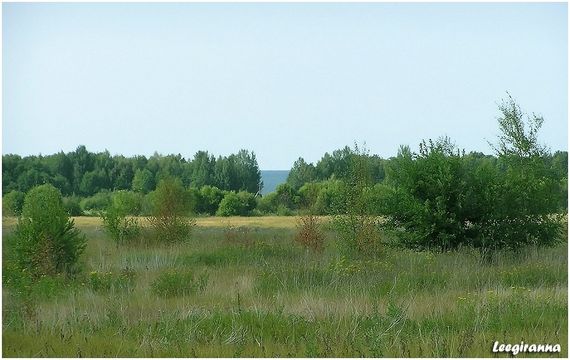 Land in Sõitme