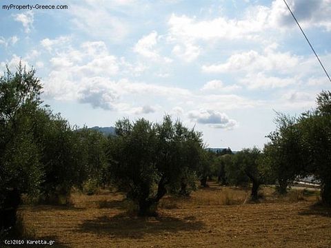 Land in Pantokratoras