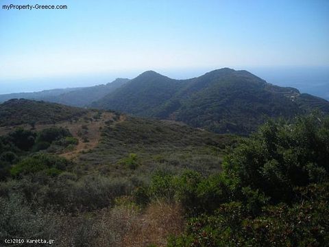 Land in Vasilikos